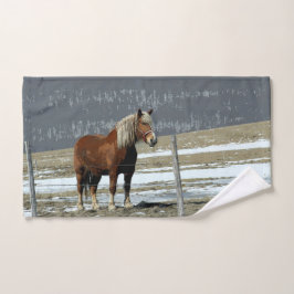 Caballo Borrador Belga Con Toalla De Mano De Paddo