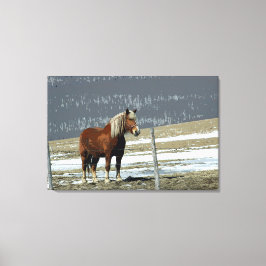 Caballo Borrador Belga En Arte De Lienzo De Paddoc