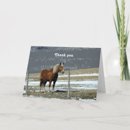 Caballo Borrador Belga En Tarjeta De Saludo Paddoc