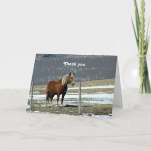 Caballo Borrador Belga En Tarjeta De Saludo Paddoc