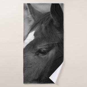 Caballo btcn