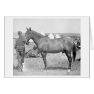 Caballo "Comanche" el único sobreviviente del Cust