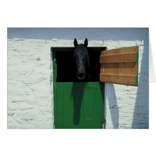 Caballo con establos con puerta francesa