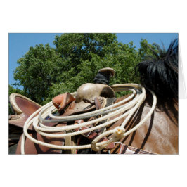 Caballo con silla y carta occidental