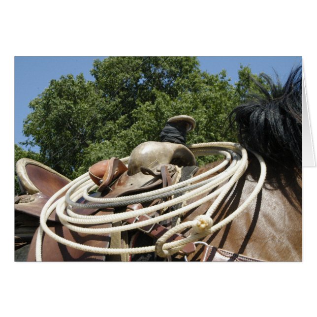Caballo con silla y carta occidental (Anverso (Horizontal))