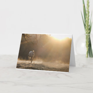 Caballo con tarjeta de simpatía equina ligera