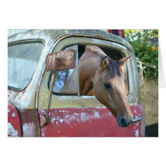 Caballo conductor