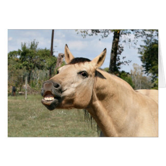 Caballo conversando