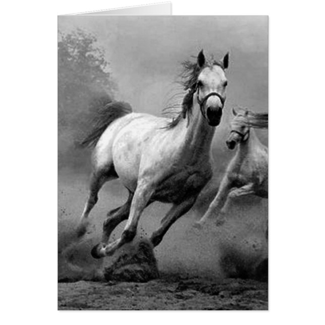 Caballo corriendo (Frente)