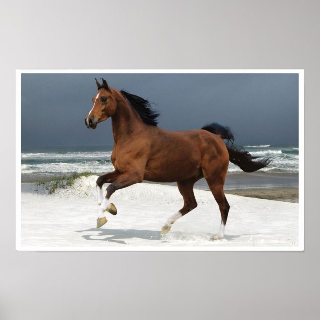 Caballo corriendo en el Poster de arte de la playa (Frente)