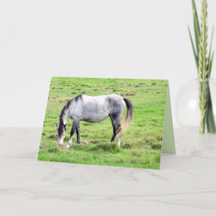Caballo de afeitar (3104) - Tarjeta de saludo
