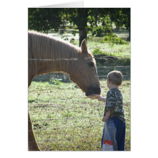 Caballo de alimentación de niño pequeño