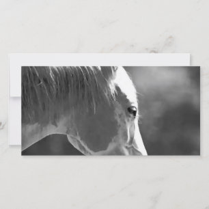 Caballo de arte pop blanco y negro