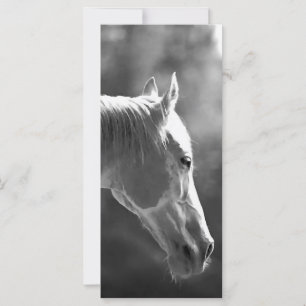 Caballo de arte pop blanco y negro