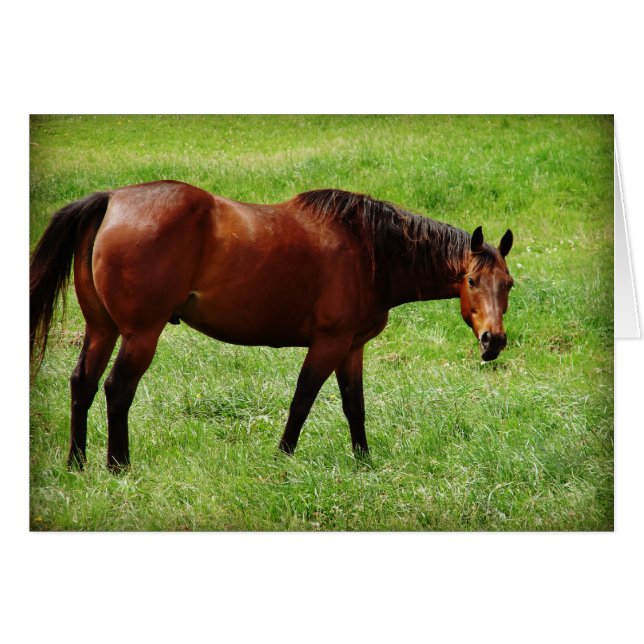 Caballo de Bahía (Anverso (Horizontal))