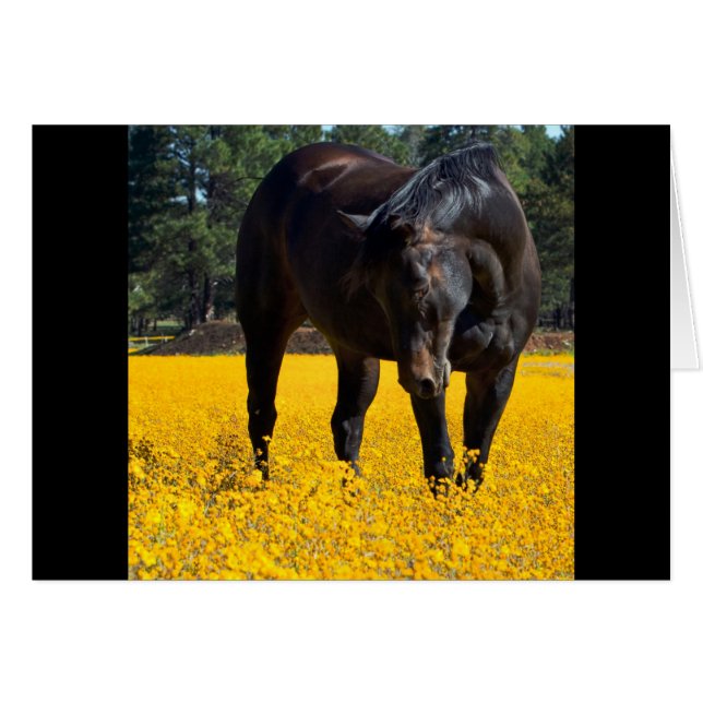 Caballo de Bahía en un campo de flores amarillas (Anverso (Horizontal))