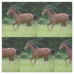 Caballo de Brown que corre a través de tela del