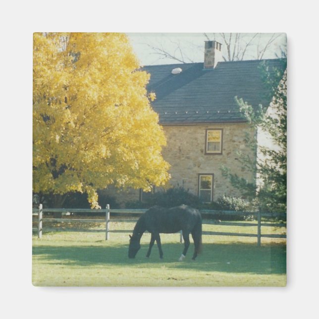 Caballo de campo - imán (Frente)