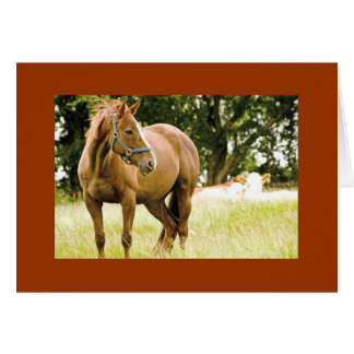 Caballo de carreras en la tarjeta de campo