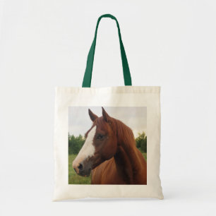 Caballo de castaño con bolsa de tocador azul