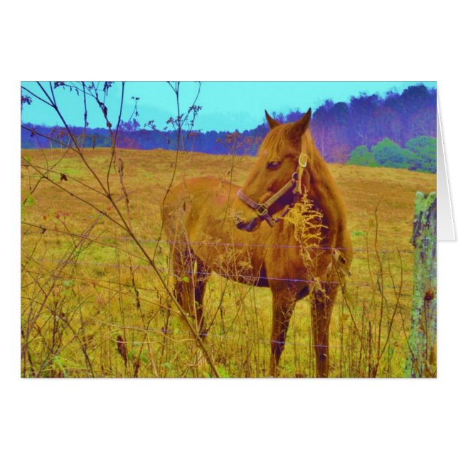 Caballo de color retro (Anverso (Horizontal))