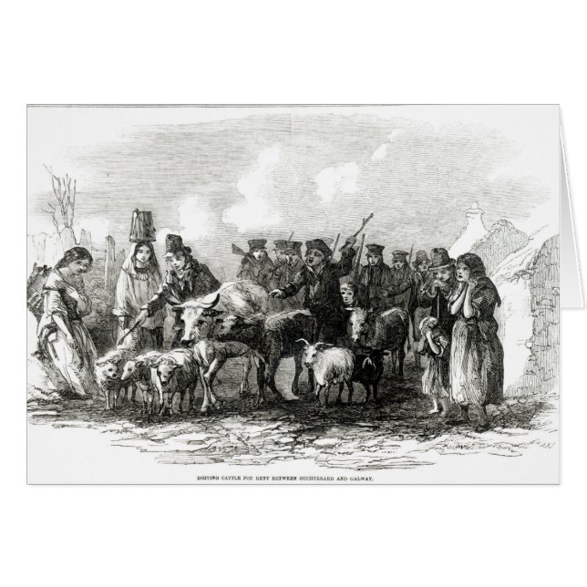 Caballo de Conducción para Alquiler (Anverso (Horizontal))