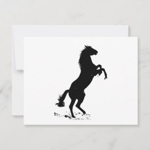 Caballo de cría