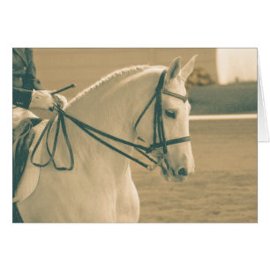 Caballo de Dressage
