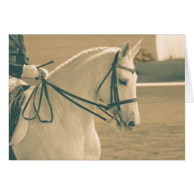 Caballo de Dressage (Anverso (Horizontal))