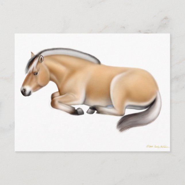 Caballo de fiordo en la postal de descanso (Anverso)