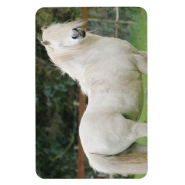 Caballo de galés Imán flexible