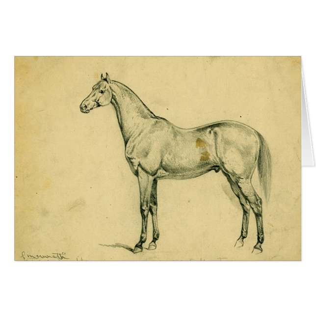 Caballo de guerra de general Grant (Anverso (Horizontal))