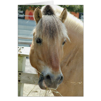 Caballo de hambre