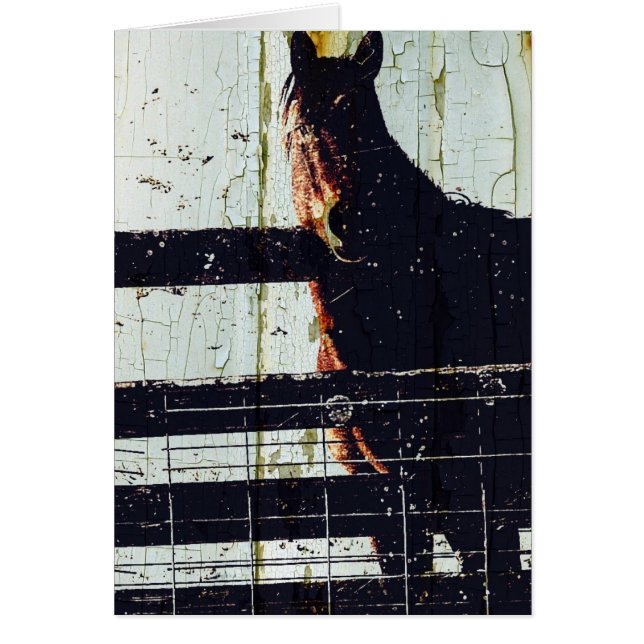 Caballo de Invierno (Frente)