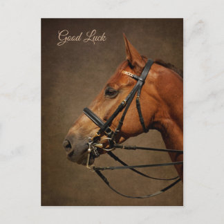 Caballo de la Bahía y tarjeta postal de la buena s
