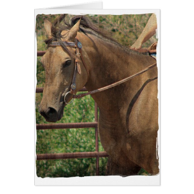 Caballo de la piel de gallina occidental (Frente)