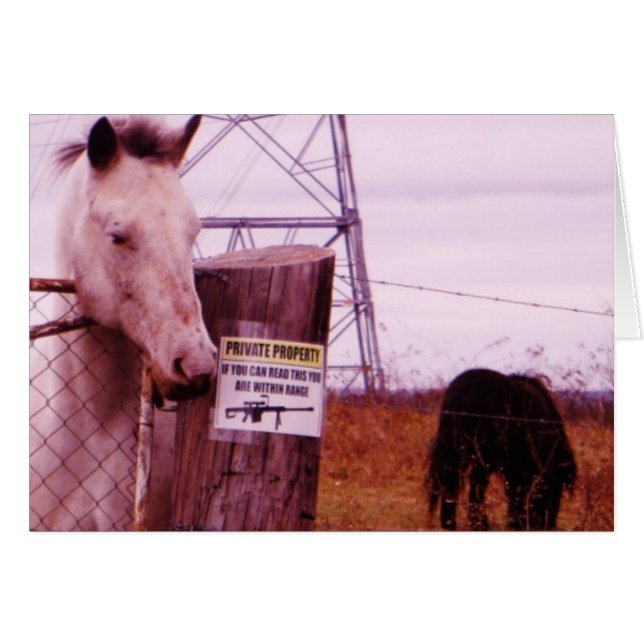 Caballo de lavanda de propiedad privada (Anverso (Horizontal))
