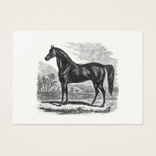 Caballo de los 1800s del vintage - plantilla del