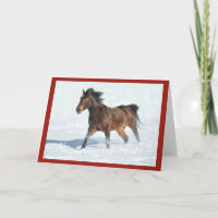 Caballo de Mustang corriendo en tarjeta de Navidad