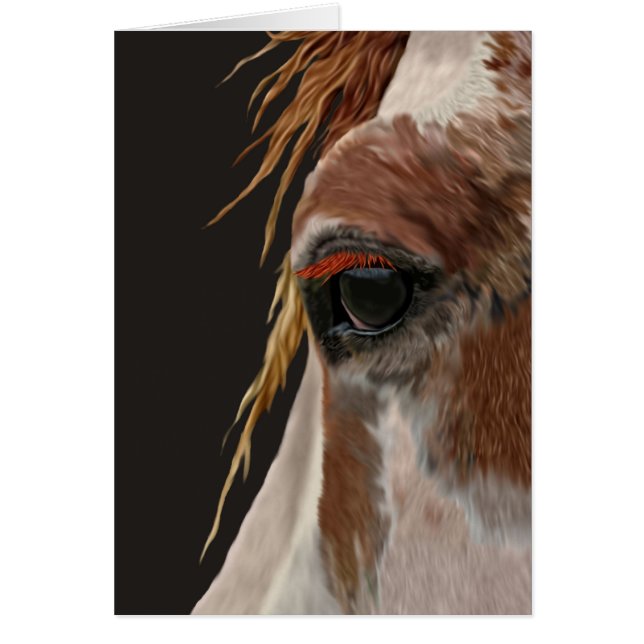 Caballo de Nakota (Frente)