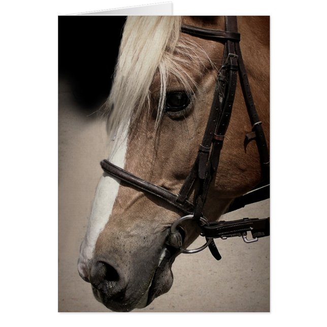 Caballo de Palomino en Bridle (Frente)