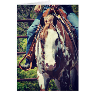 Caballo de pintura occidental