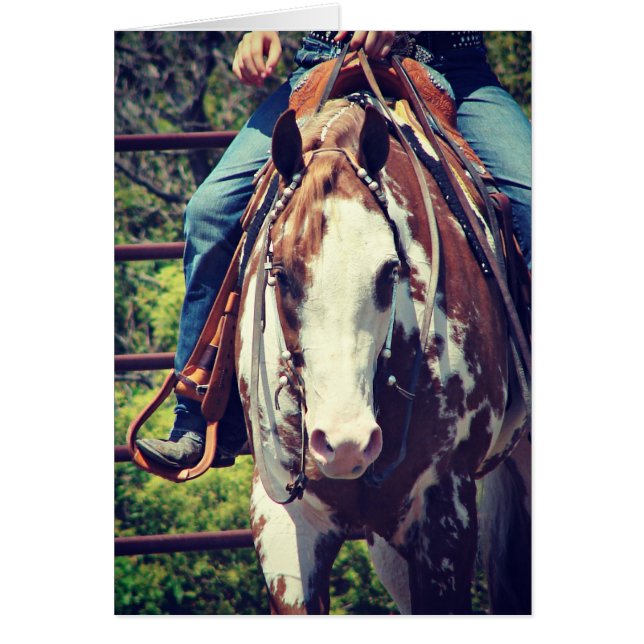 Caballo de pintura occidental (Frente)