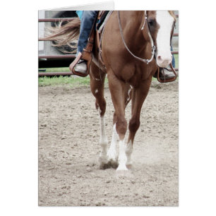 Caballo de pintura occidental