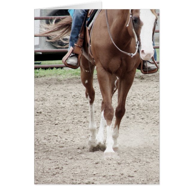 Caballo de pintura occidental (Frente)