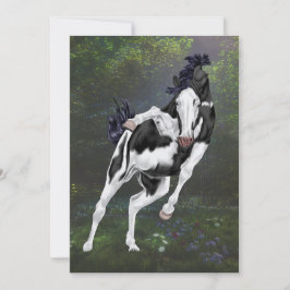 Caballo de Pintura Overo Blanco y Negro Imprimir