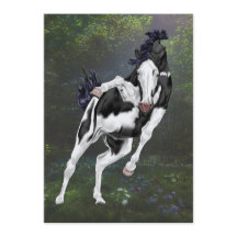 Caballo de Pintura Overo Blanco y Negro Imprimir