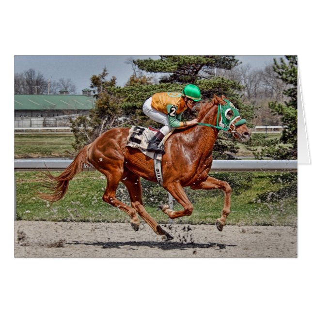 Caballo de raza #2 (Anverso (Horizontal))