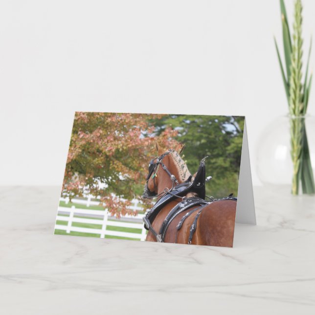 Caballo de tiro belga en tarjeta de saludo de arné (Anverso)