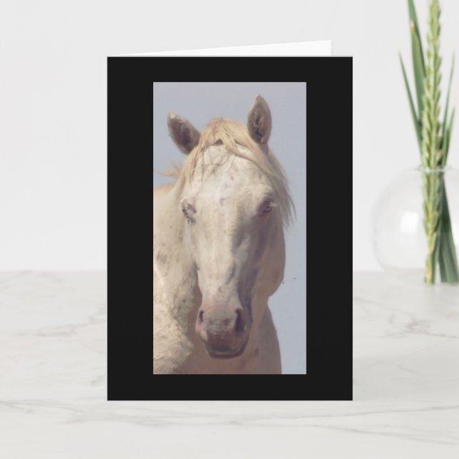 CABALLO DE UTAH LA Tarjeta de felicitación plegada (Anverso)
